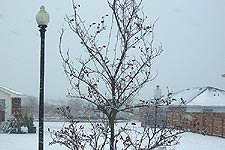 Taken Dec. 22, 2004 in far north Fort Worth, Texas. Click for larger image