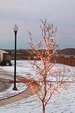 Taken Dec. 23, 2004 in far north Fort Worth, Texas. Click for larger image