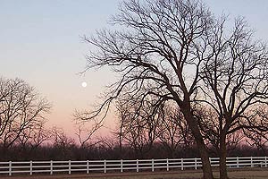 Taken at 5:31 p.m. CST, Dec. 25, 2004 in Wichita Falls, Texas. Click for larger image