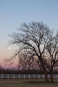 Taken at 5:32 p.m. CST, Dec. 25, 2004 in Wichita Falls, Texas. Click for larger image