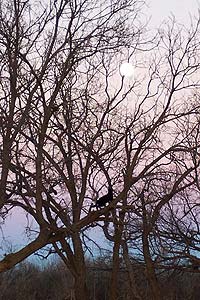 Taken at 5:38 p.m. CST, Dec. 25, 2004 in Wichita Falls, Texas. Click for larger image