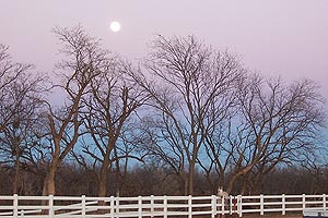 Taken at 5:42 p.m. CST, Dec. 25, 2004 in Wichita Falls, Texas. Click for larger image