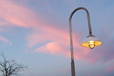 Taken Feb. 14, 2005 in Southlake, Texas. Click for larger image