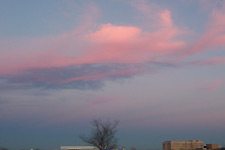 Taken Feb. 14, 2005 in Southlake, Texas. Click for larger image