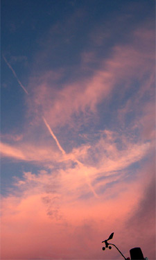 Taken July 28 in far north Fort Worth. Links to larger image in new window