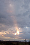 Taken March 21, 2005 in Fort Worth. Click for larger image